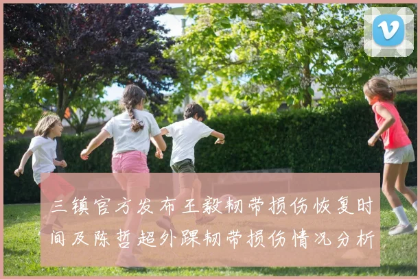 三镇官方发布王毅韧带损伤恢复时间及陈哲超外踝韧带损伤情况分析
