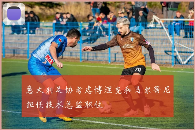 意大利足协考虑博涅克和马尔蒂尼担任技术总监职位